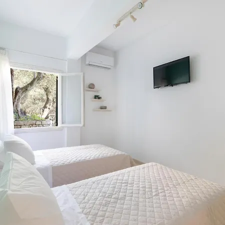 Luna Corfu شقة نساكيون